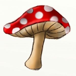 Meet your Posher, Gabriel